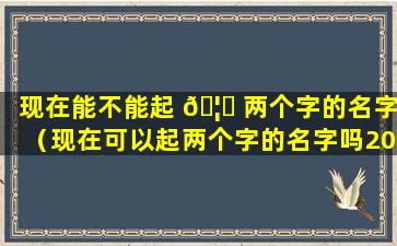 现在能不能起 🦈 两个字的名字（现在可以起两个字的名字吗2021）